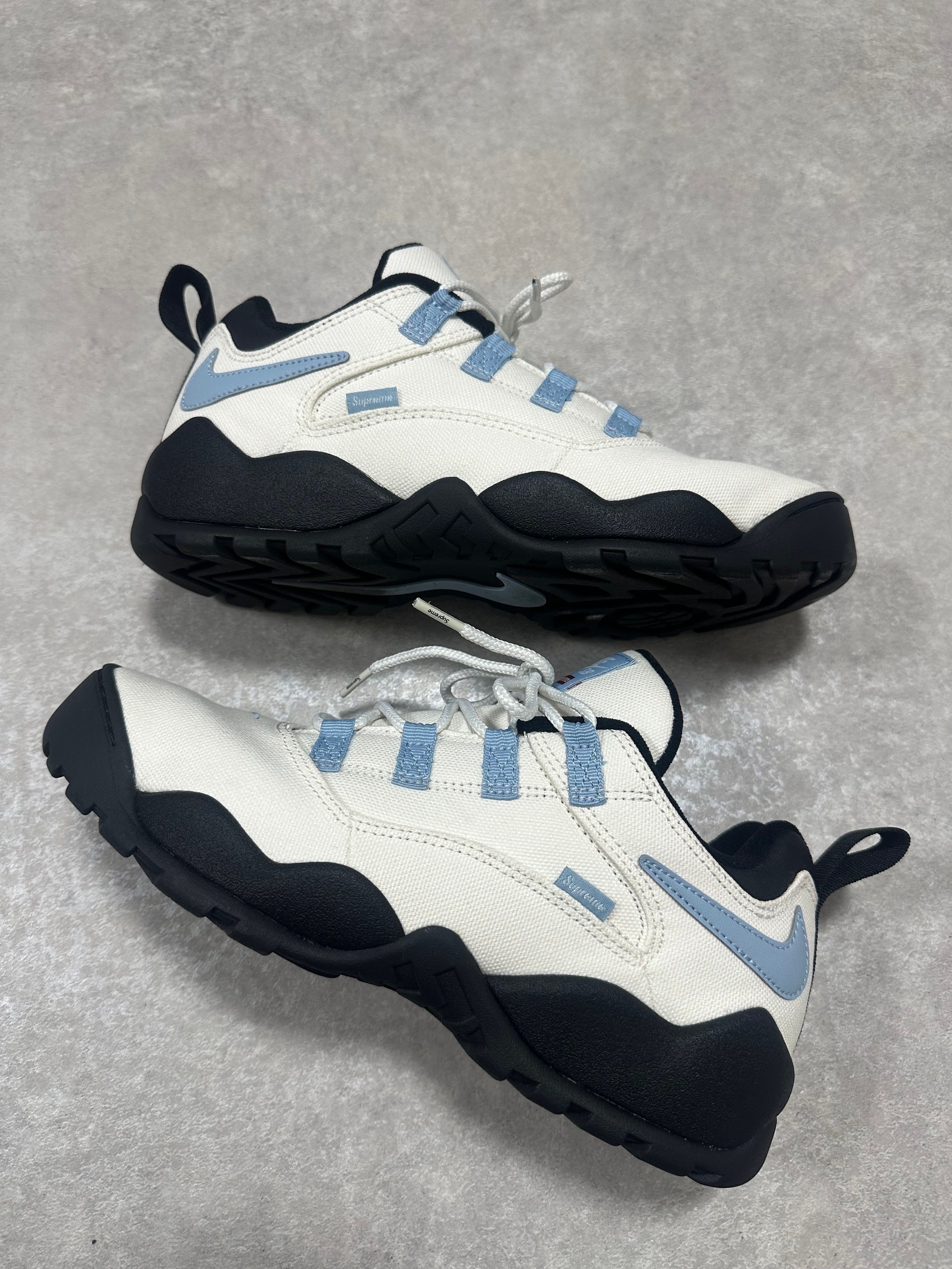 Supreme × Nike SB Darwin Low "White"