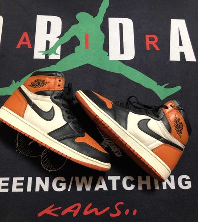 Nike Air Jordan 1 Retro High OG "Shattered Backboard"
