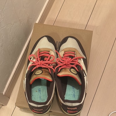 Travis Scott × Nike Air Max 1 "CACT.US Brown"