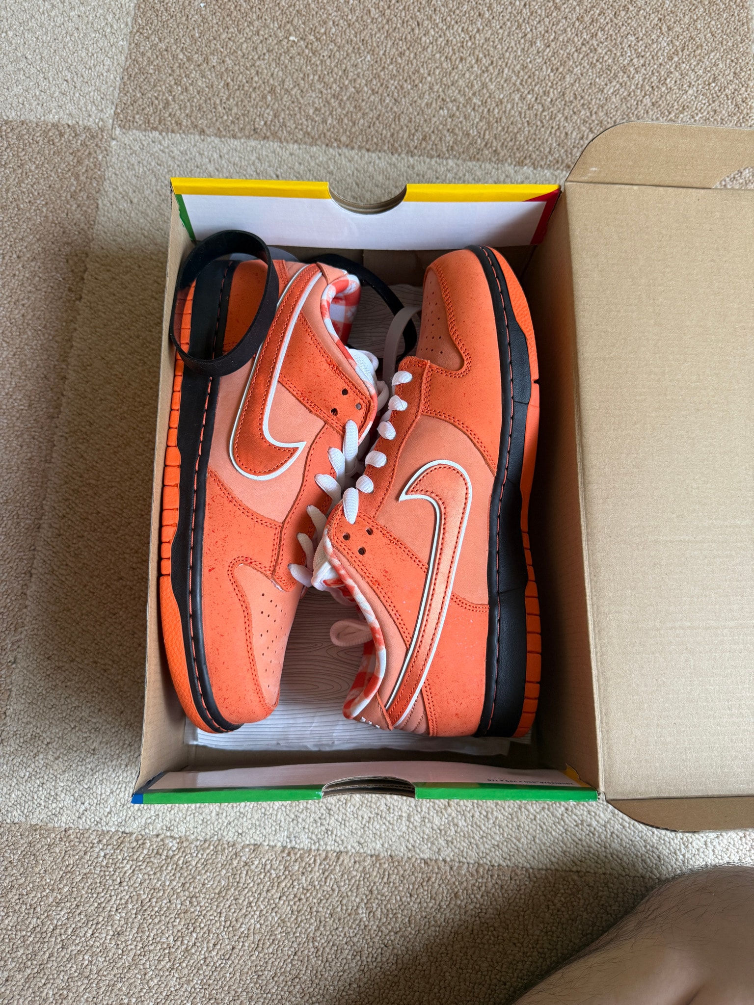 Concepts × Nike SB Dunk Low SP "Orange Lobster" (Special Box)