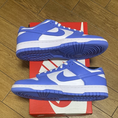 Nike Dunk Low Retro BTTYS "Polar Blue"