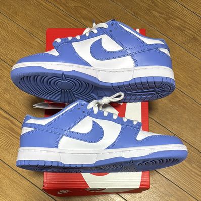 Nike Dunk Low Retro BTTYS "Polar Blue"