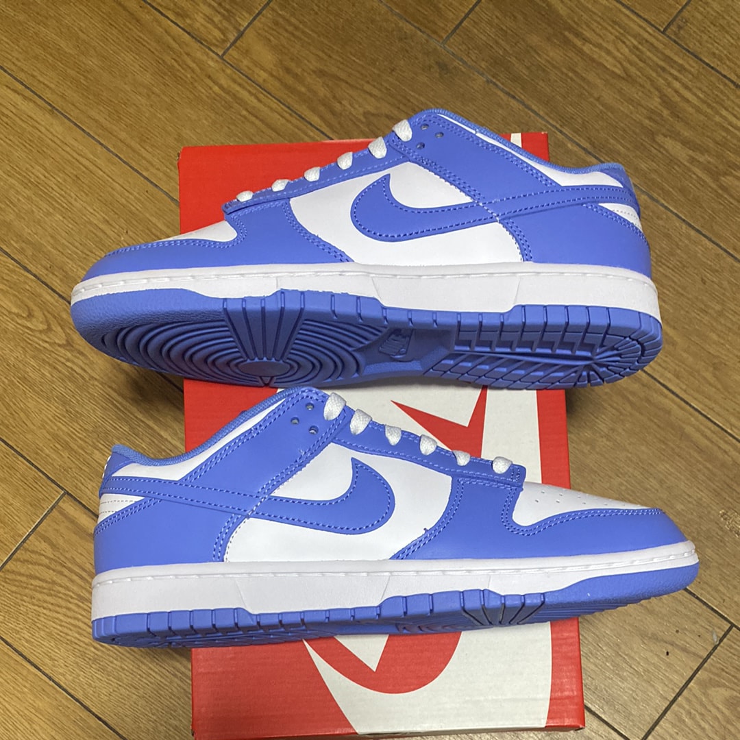 Nike Dunk Low Retro BTTYS "Polar Blue"
