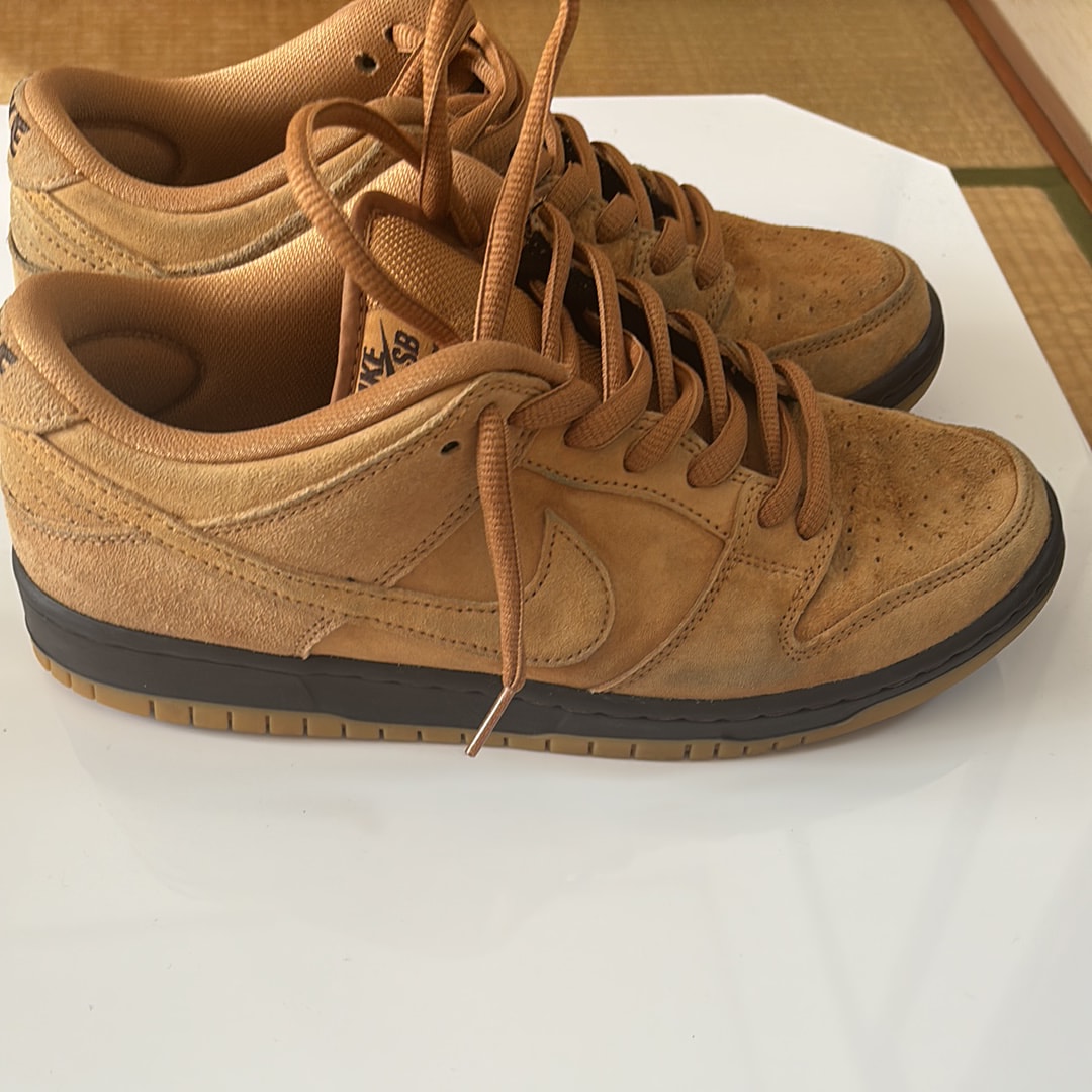 Nike SB Dunk Low Pro 