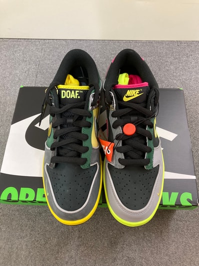 Nike Dunk Low "What The Ducks Home"