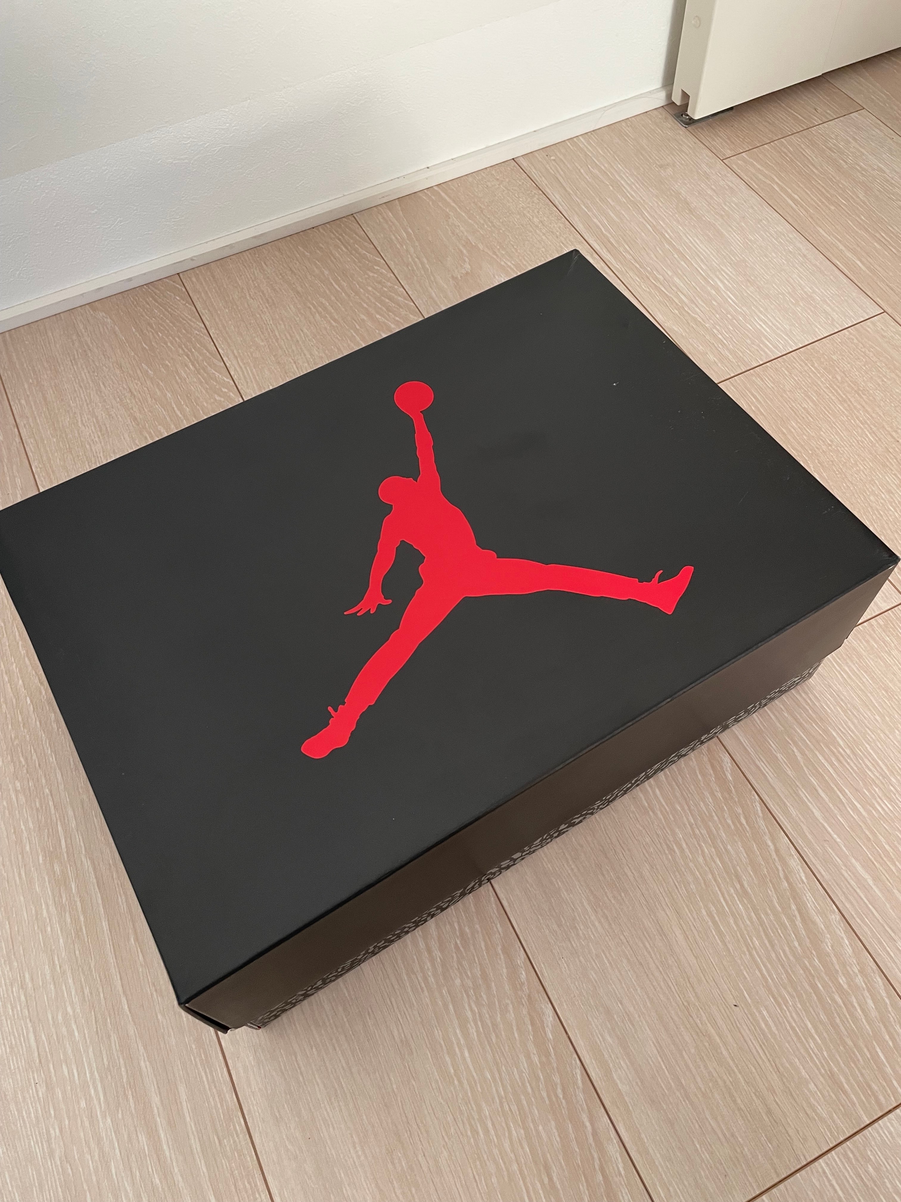 ナイキ エアジョーダン3 レトロ "ブラックキャット" (2025)