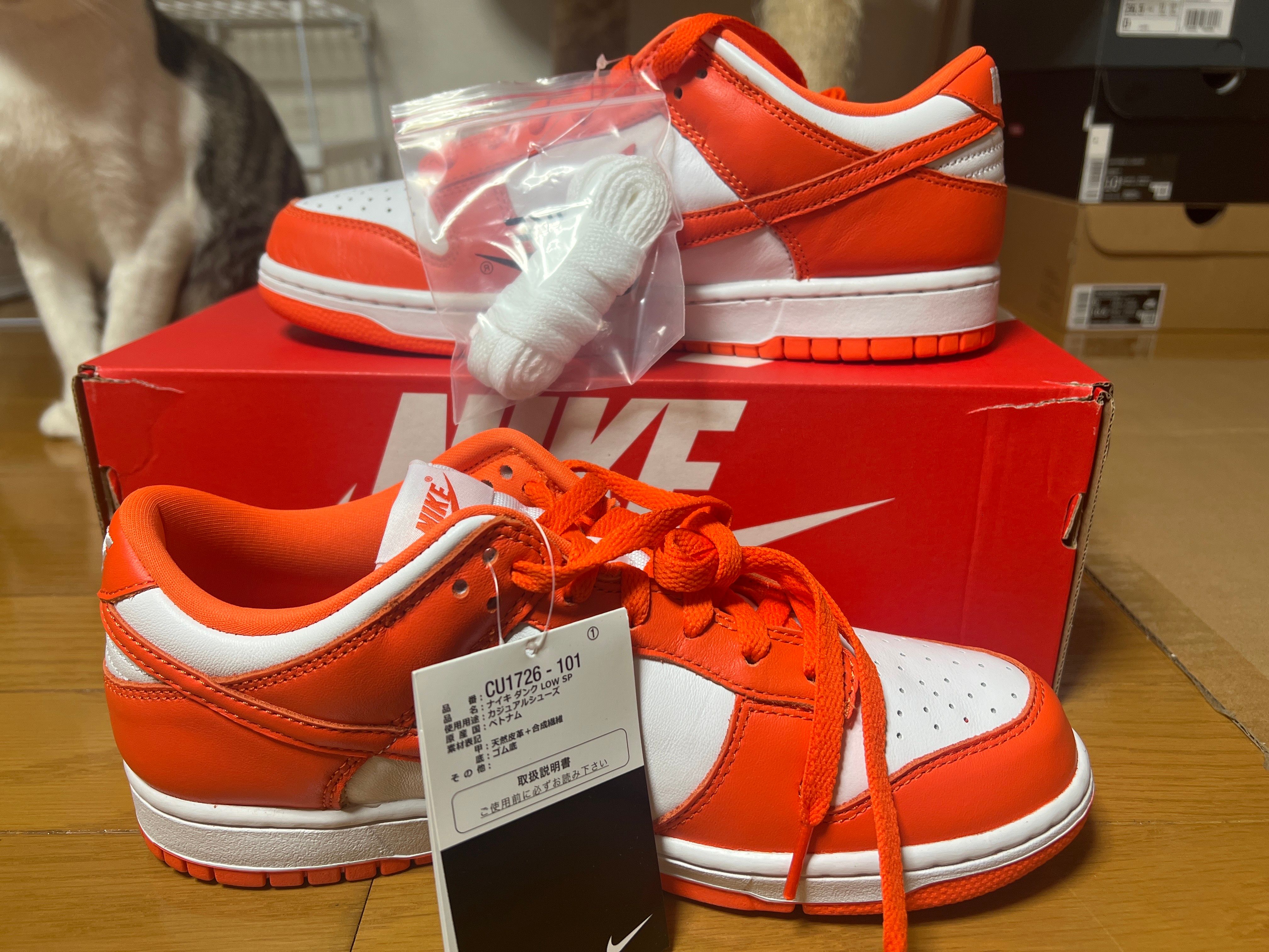 Nike Dunk Low SP "Syracuse"