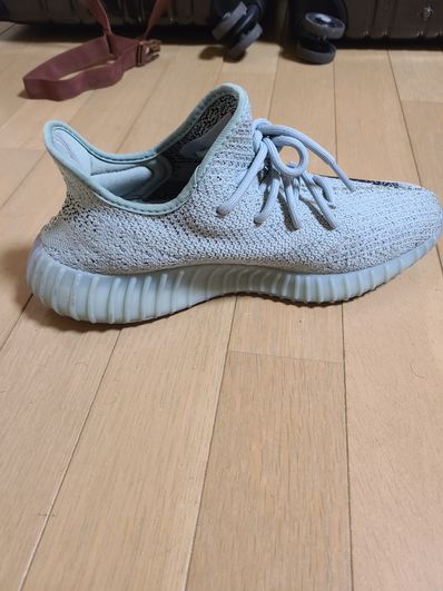 adidas YEEZY Boost 350V2 "Salt/Core Black"