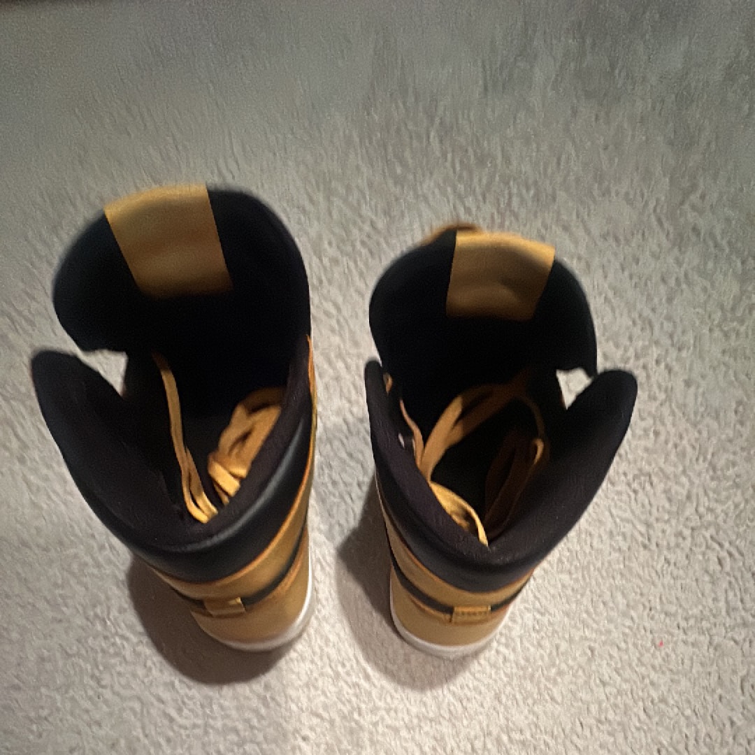 Nike Air Jordan 1 High OG "Pollen"