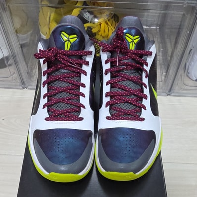 Nike Kobe 5 Protro "Chaos" (2019)