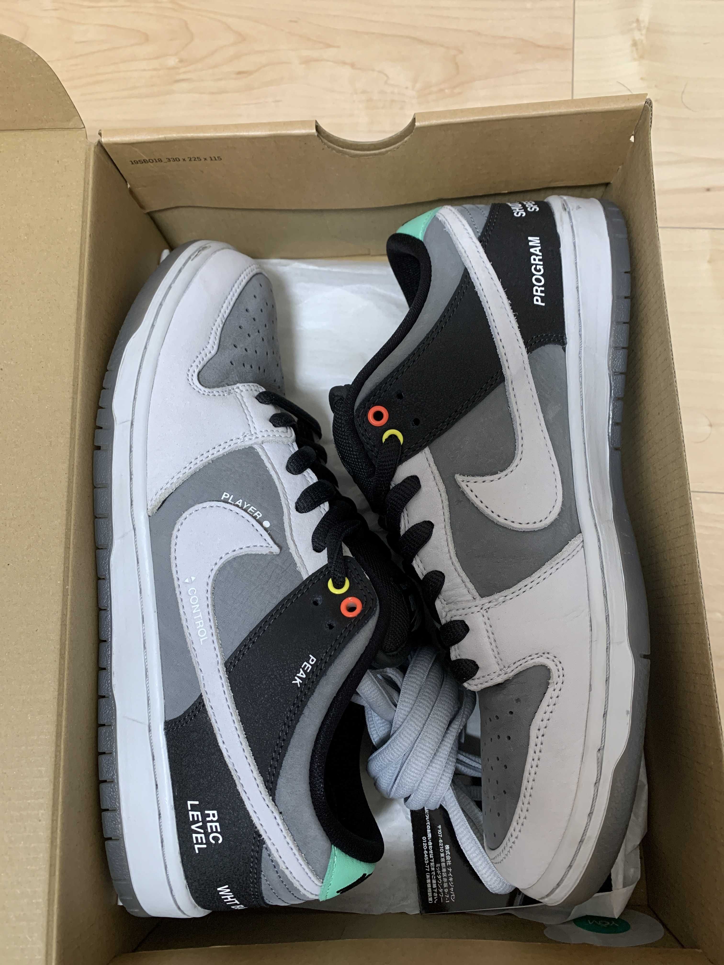 Nike SB Dunk Low Pro "VX1000 Camcorder"