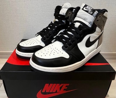 Nike Air Jordan 1 High OG "Sail/Dark Mocha/Black"