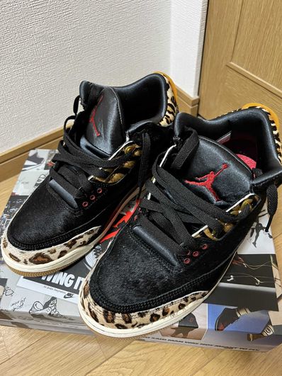 Nike Air Jordan 3 Retro SE "Animal Instinct/Safari"