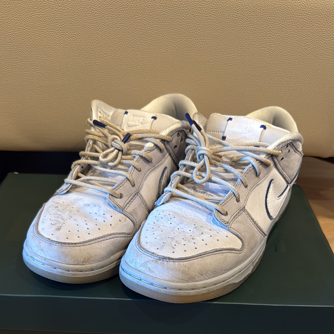 ナイキ ダンク ロー "ウルフ グレー アンド ピュア プラチナム"