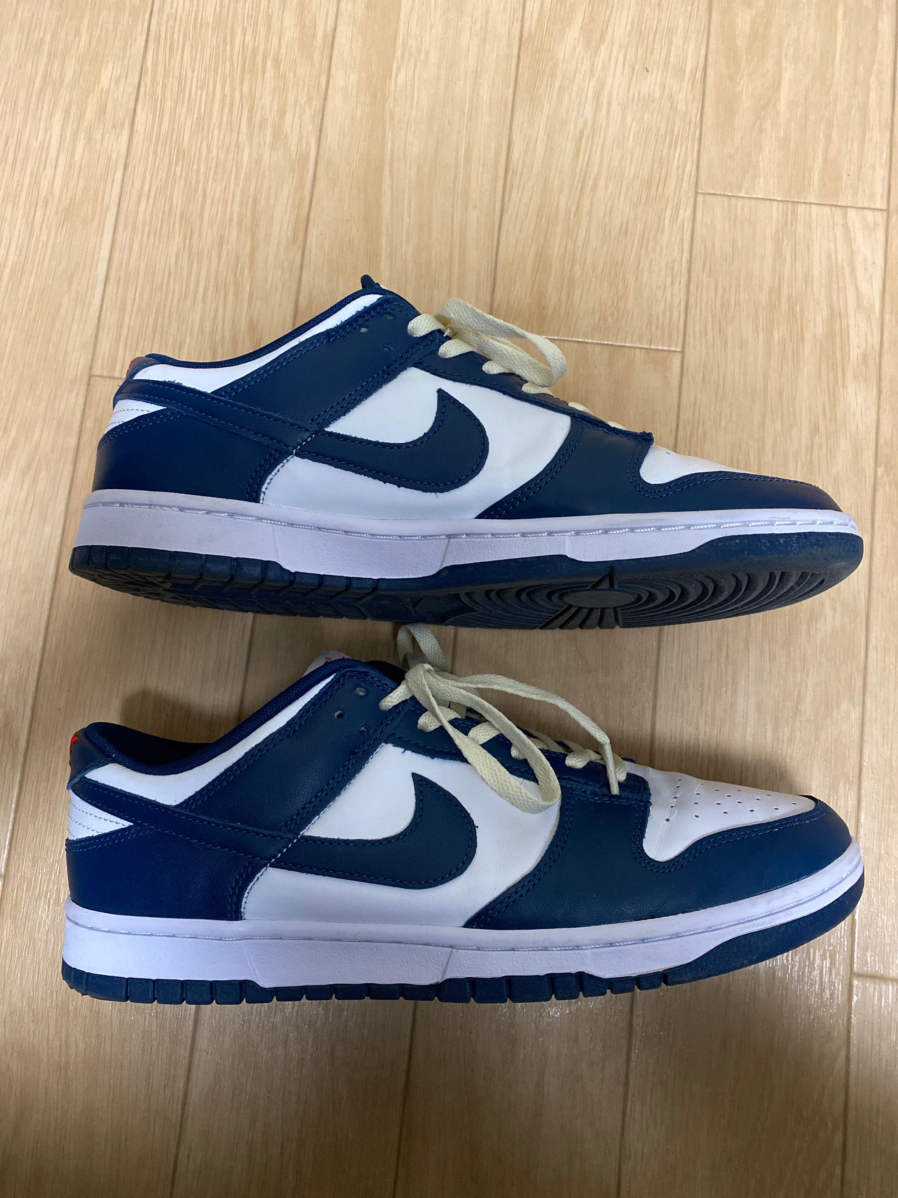 Nike Dunk Low "Valerian Blue"