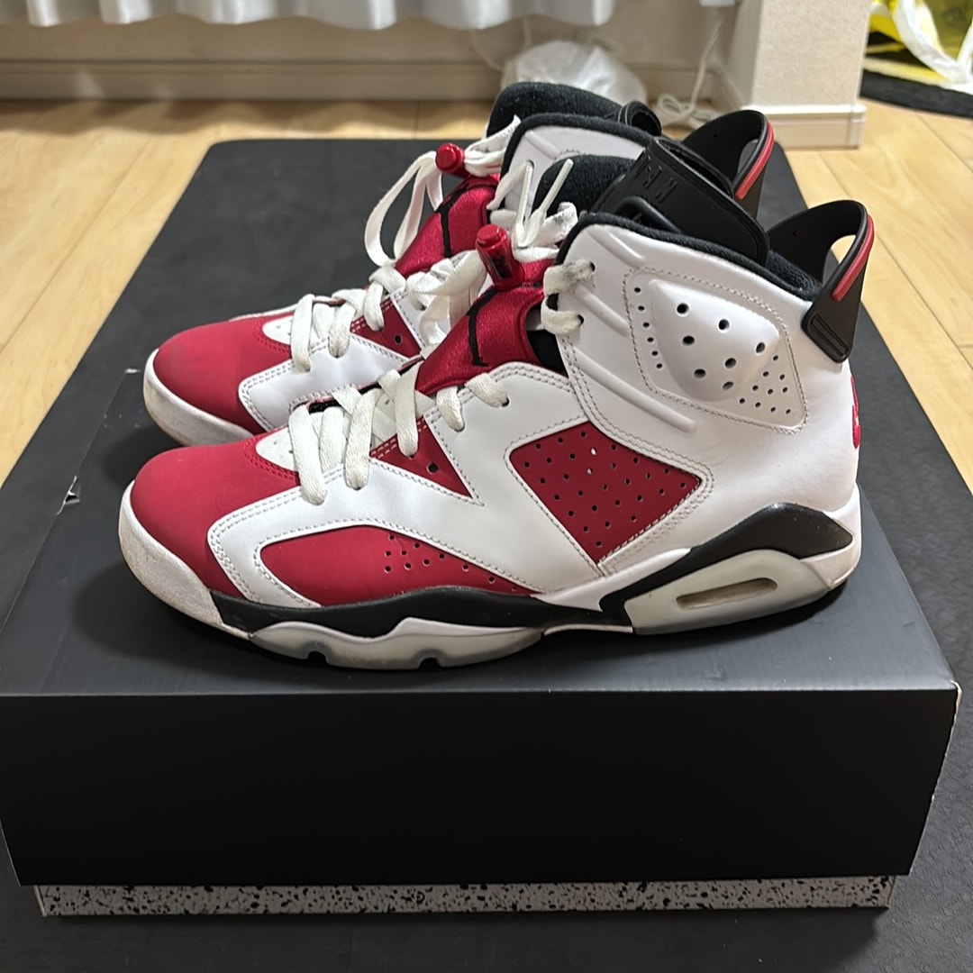 Nike Air Jordan 6 "Carmine" (2021)