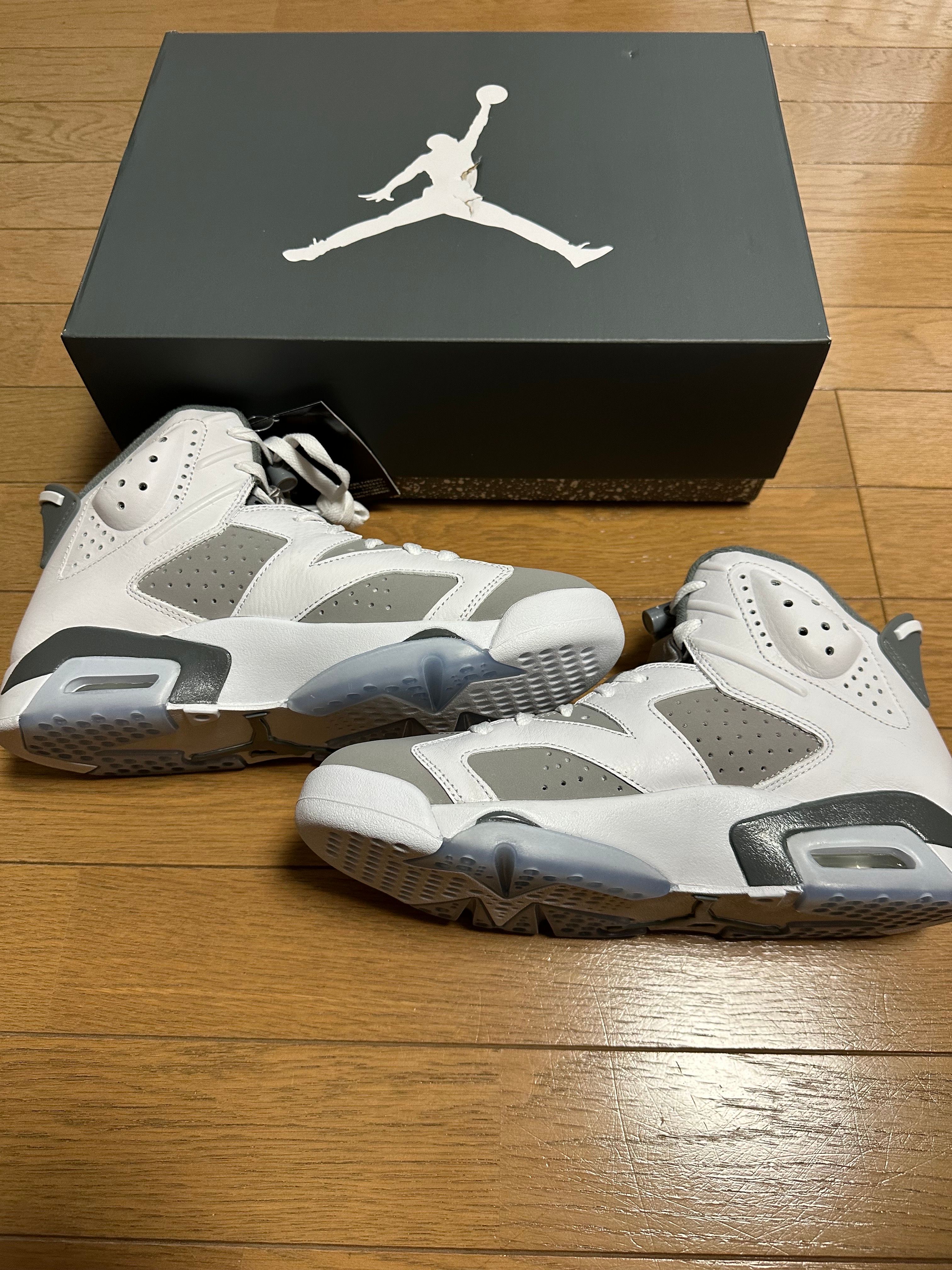 Nike Air Jordan 6 "Cool Grey"