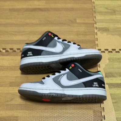 Nike SB Dunk Low Pro "VX1000 Camcorder"