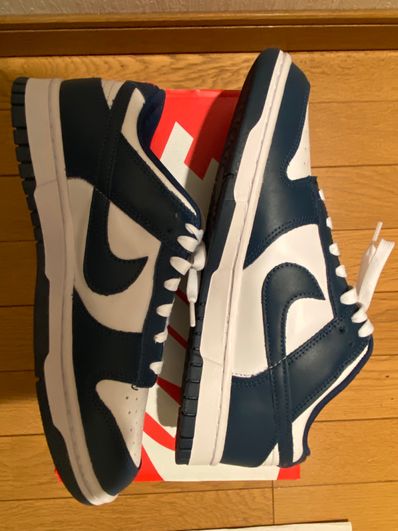 Nike Dunk Low "Valerian Blue"