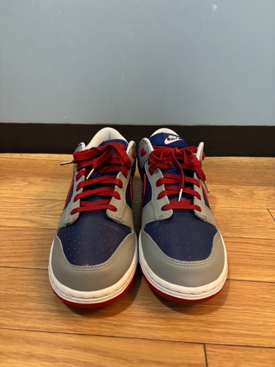 Nike Dunk Low "Samba"