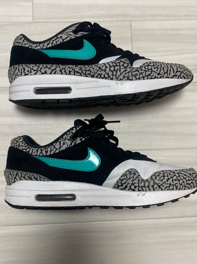 Atmos top elephant 2017