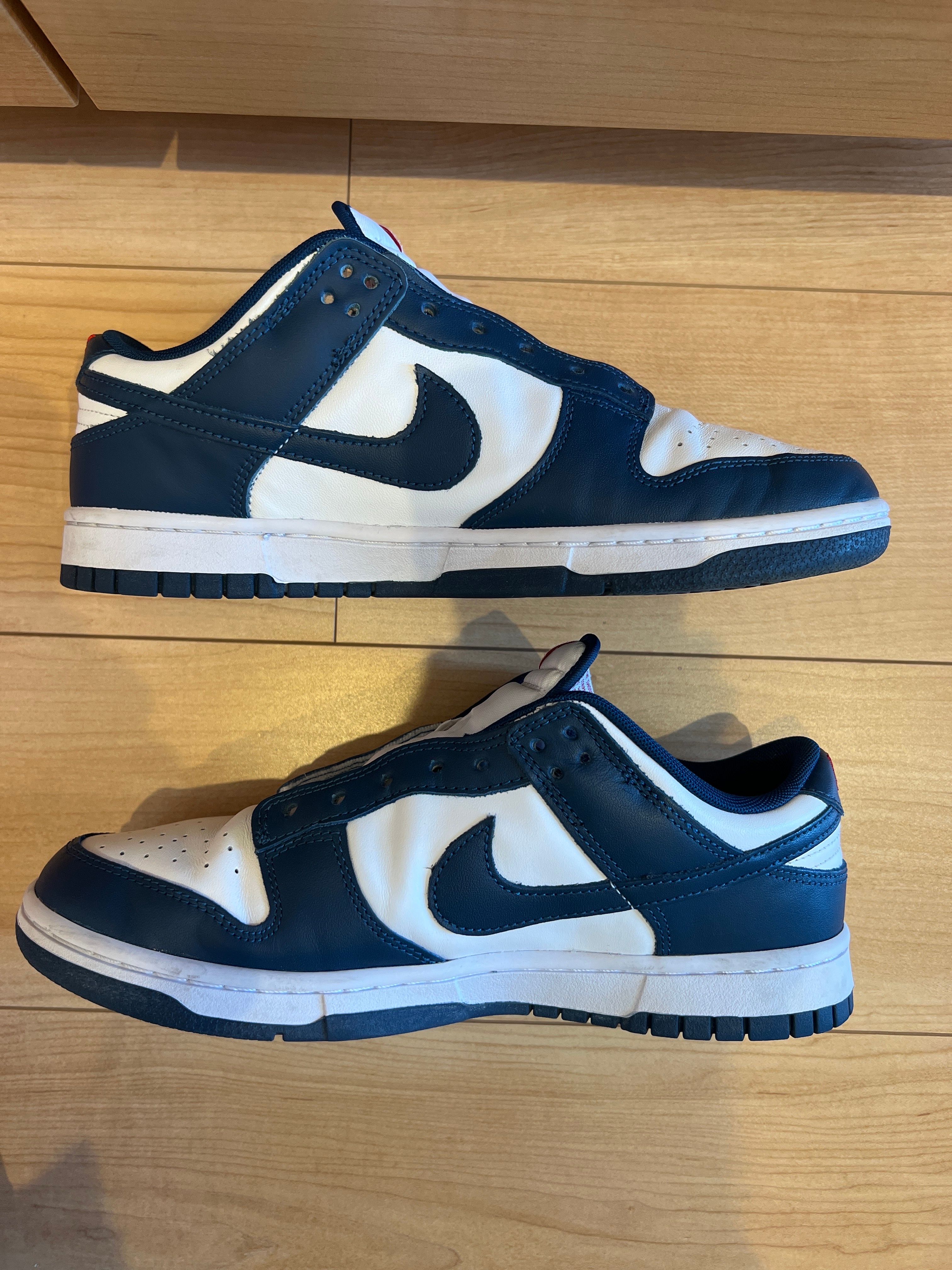 Nike Dunk Low "Valerian Blue"