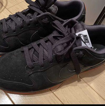 Nike SB Dunk Low "Snake Eyes"