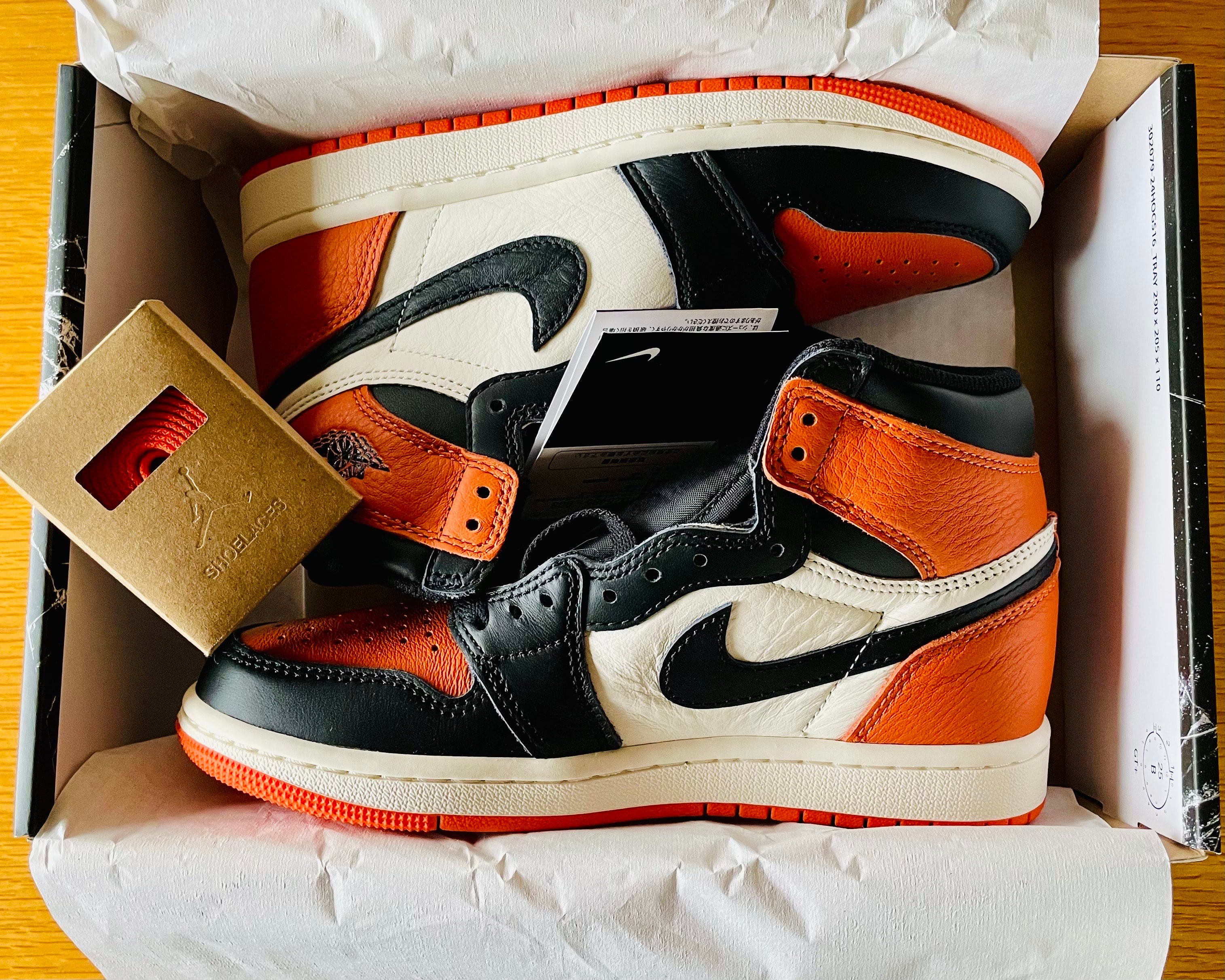 Nike Air Jordan 1 Retro High OG "Shattered Backboard" (2025)