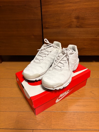 Nike Women's Air Max Plus "Platinum Tint"