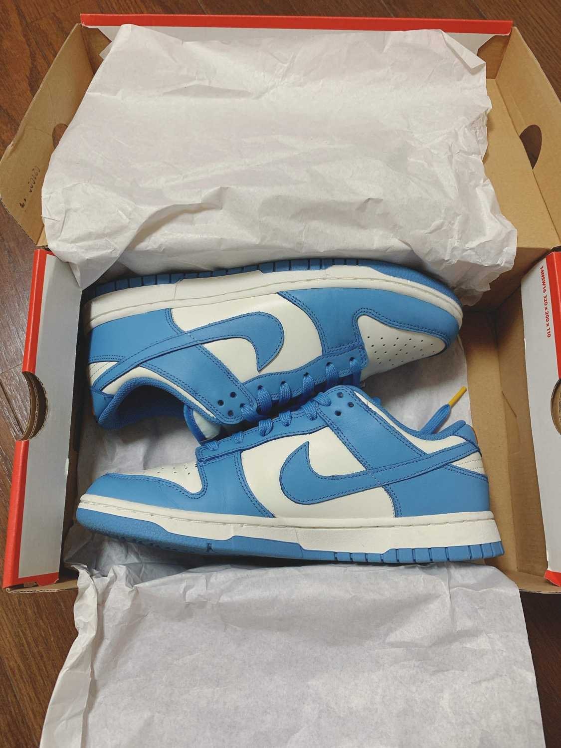 Nike Women's Dunk Low "Coast"