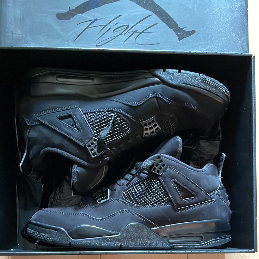 Nike Air Jordan 4 "Black Cat"