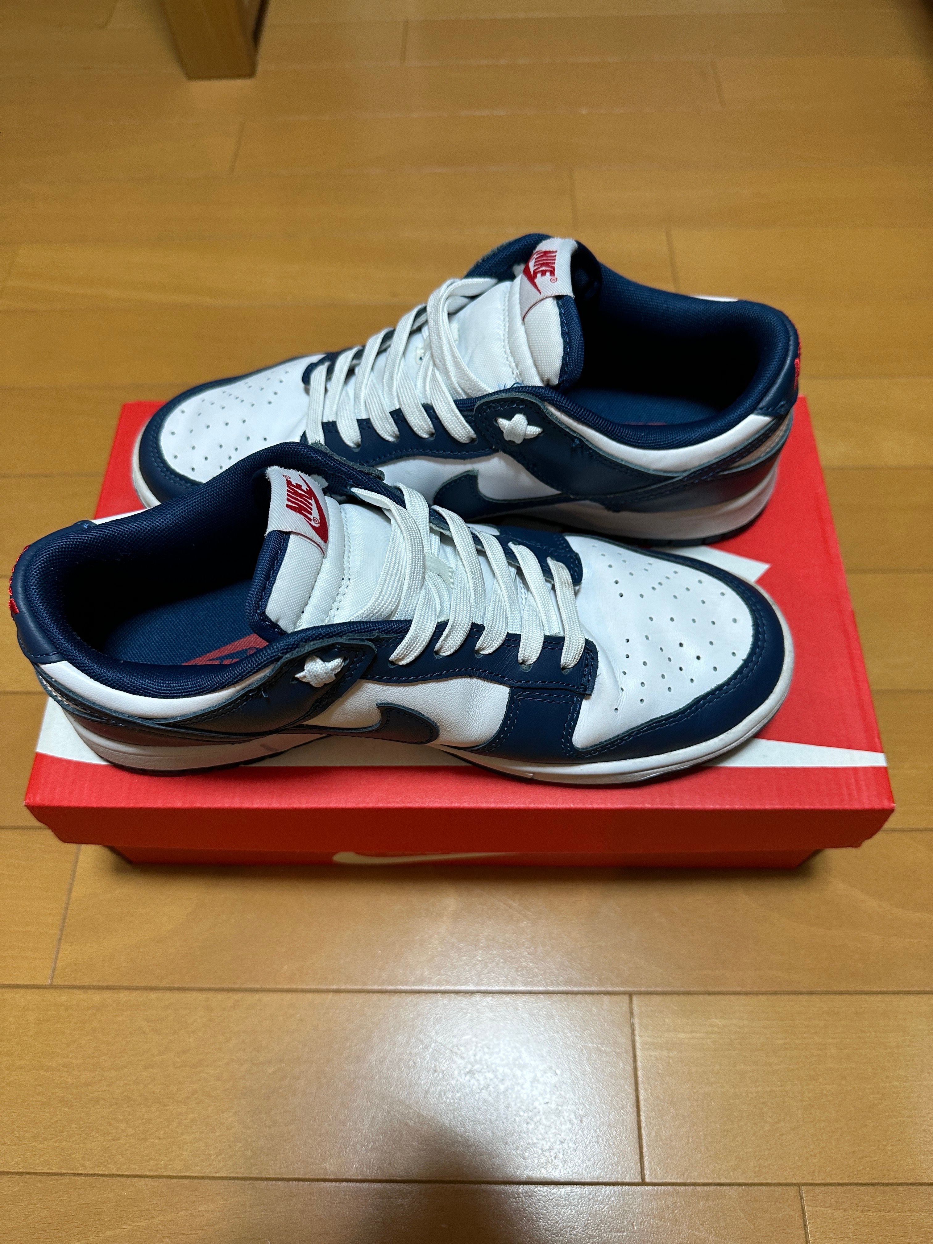 Nike Dunk Low "Valerian Blue"