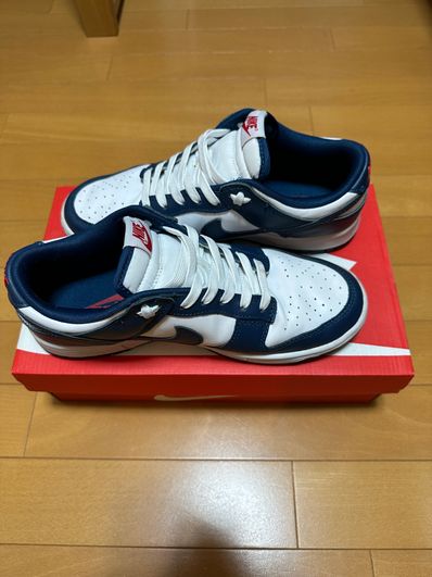 Nike Dunk Low "Valerian Blue"