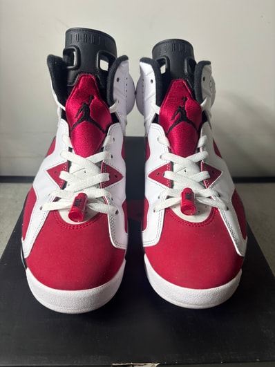 Nike Air Jordan 6 "Carmine" (2021)