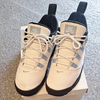 Supreme × Nike SB Darwin Low "White"