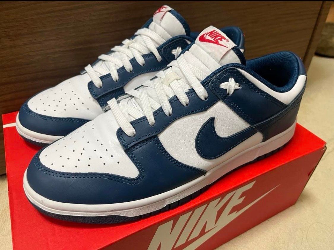 Nike Dunk Low "Valerian Blue"