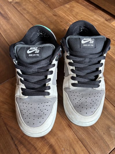 Nike SB Dunk Low Pro "VX1000 Camcorder"