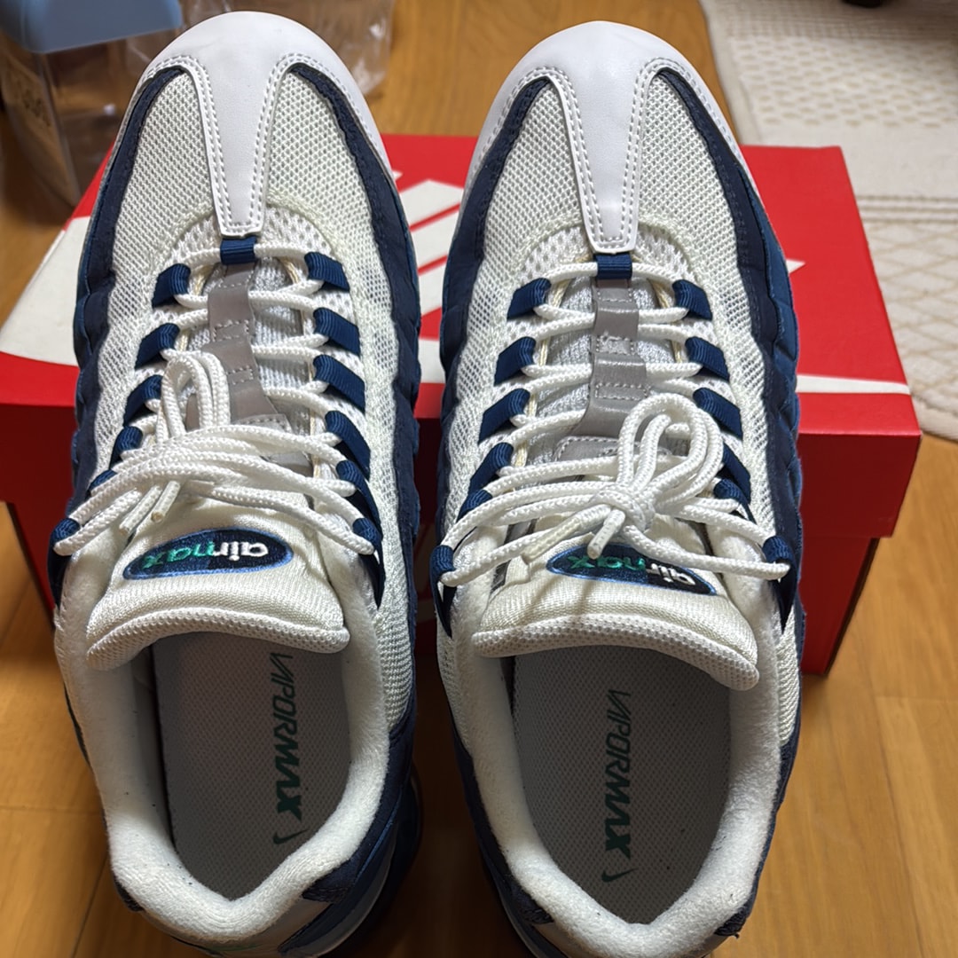 NIKE AIR VAPORMAX 95 "FRENCH BLUE"