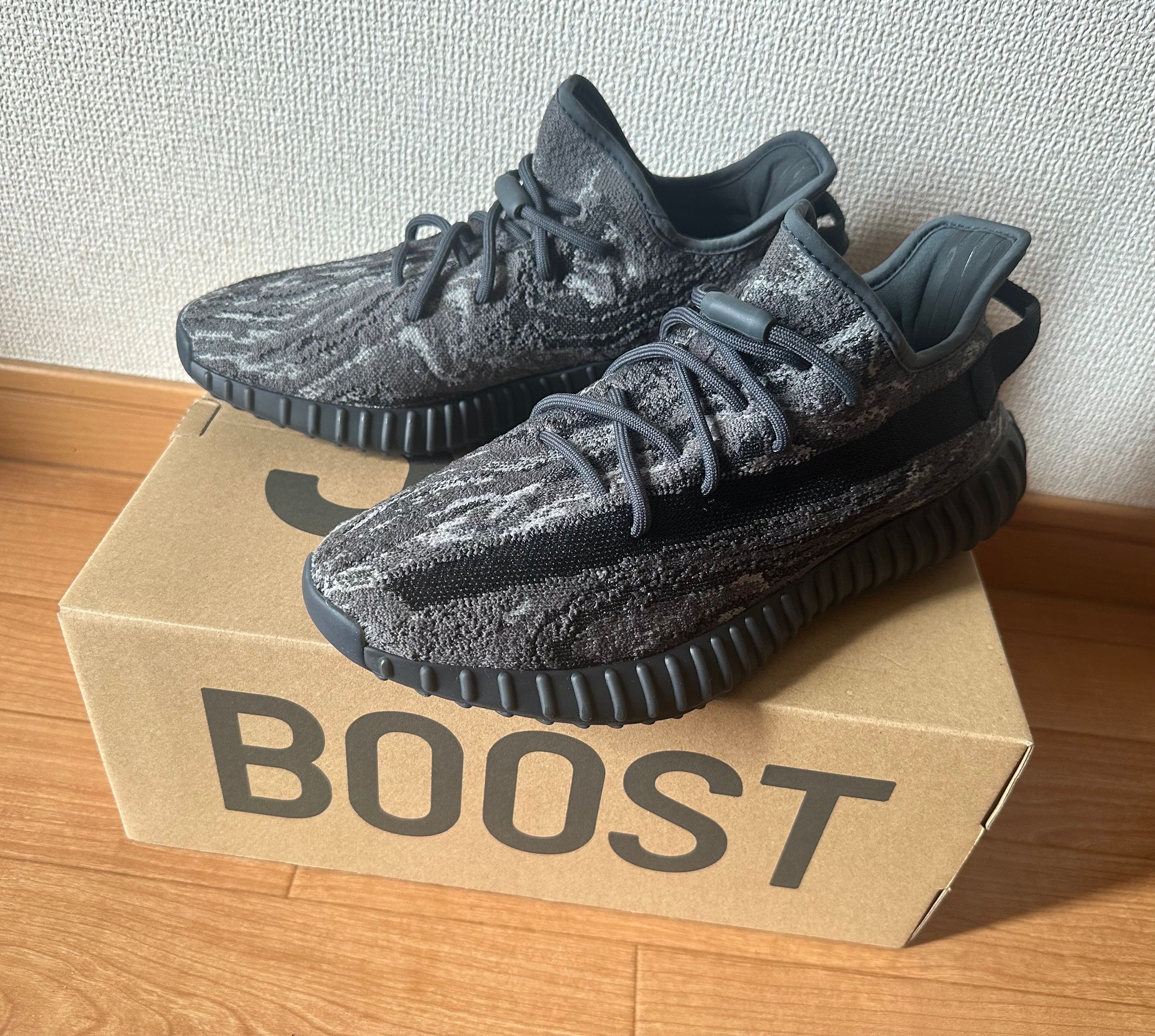 adidas YEEZY Boost 350V2 "Dark Salt"