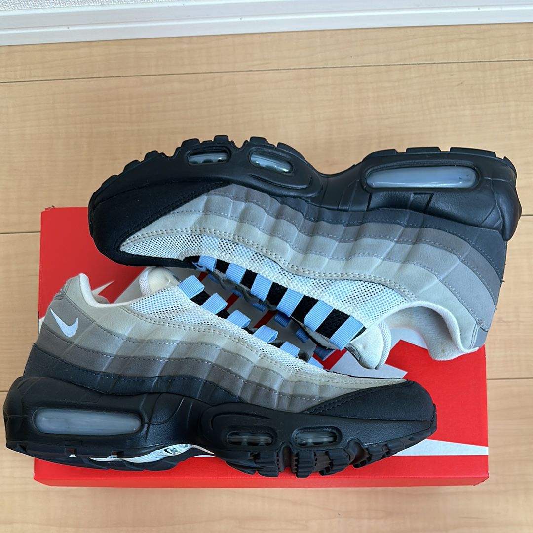 Nike Air Max 95 "Black/Aluminum"