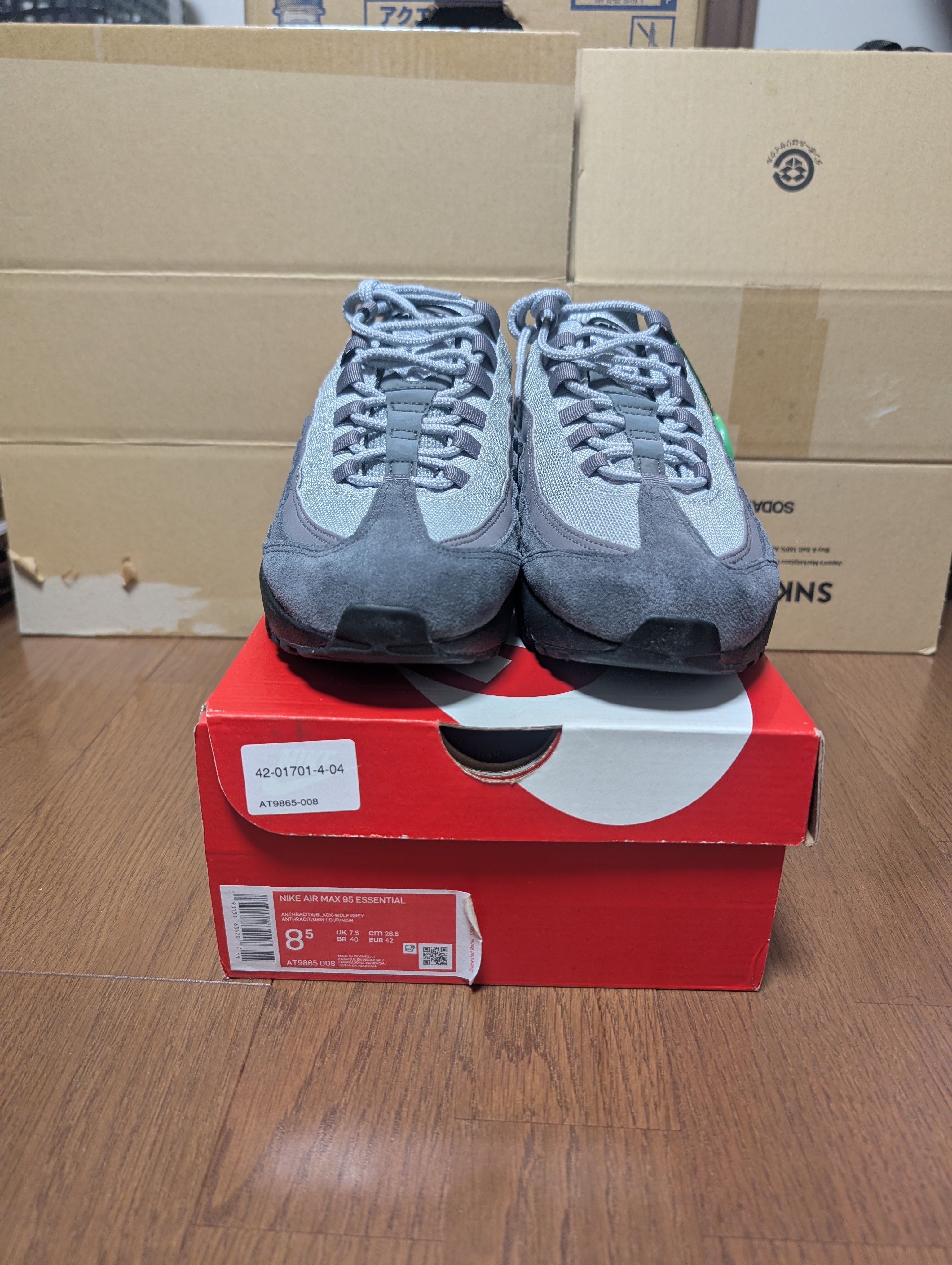 Nike Air Max 95 "Anthracite Black"