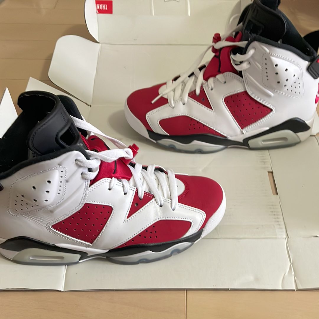 Nike Air Jordan 6 "Carmine" (2021)