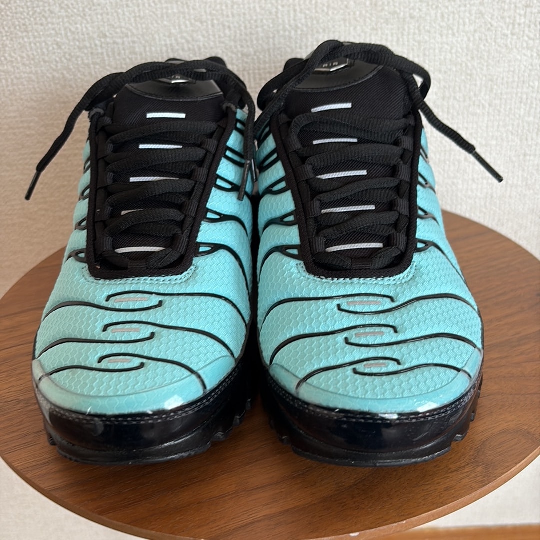 Nike Air Max Plus "Aqua/Black/White/Metallic Silver"
