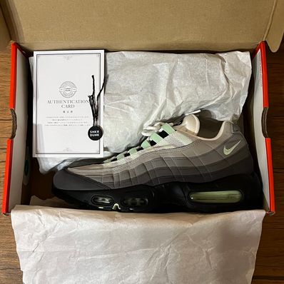 Nike Air Max 95 "Fresh Mint"