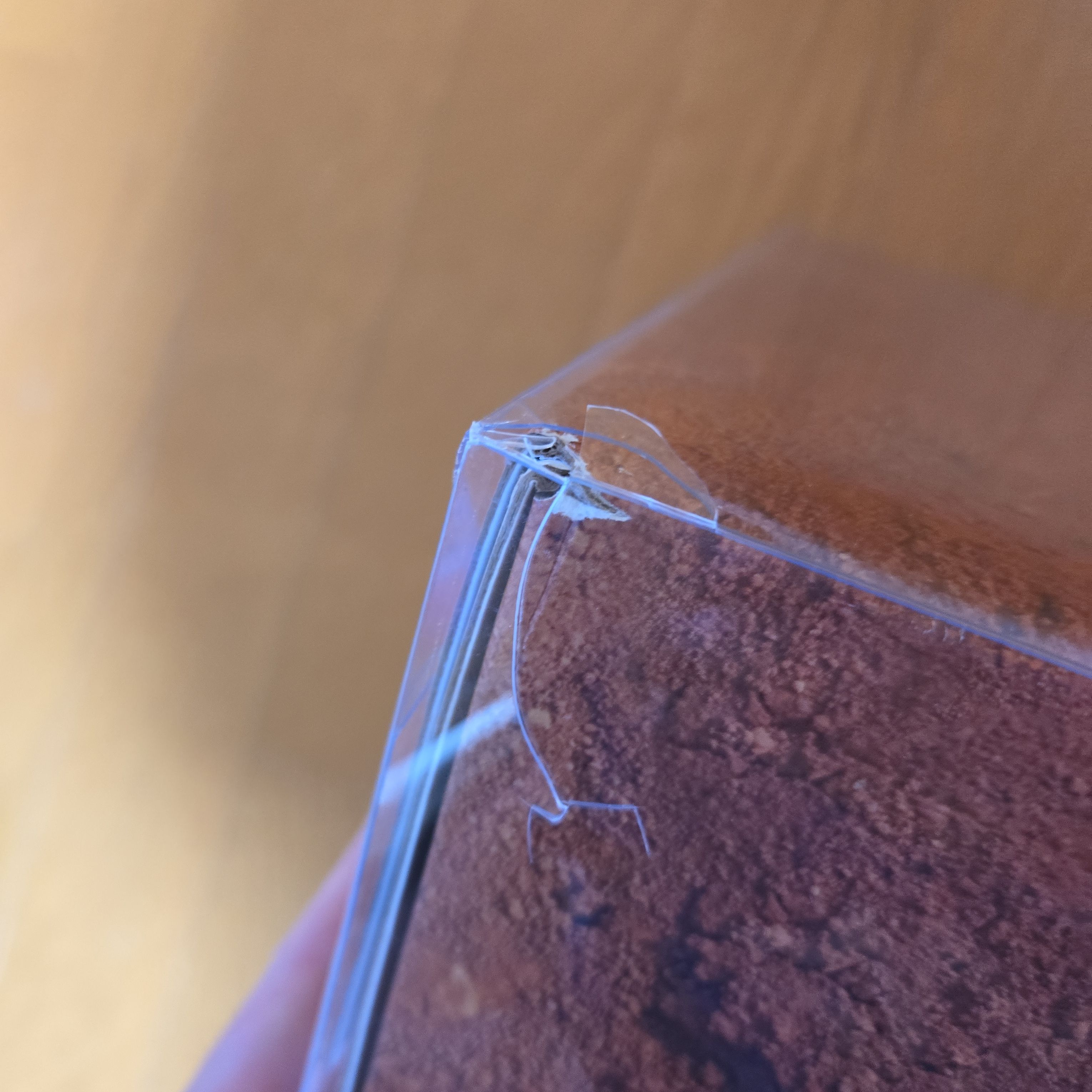 Eastside Golf × Nike Air Jordan 12 NRG "Midnight Navy"