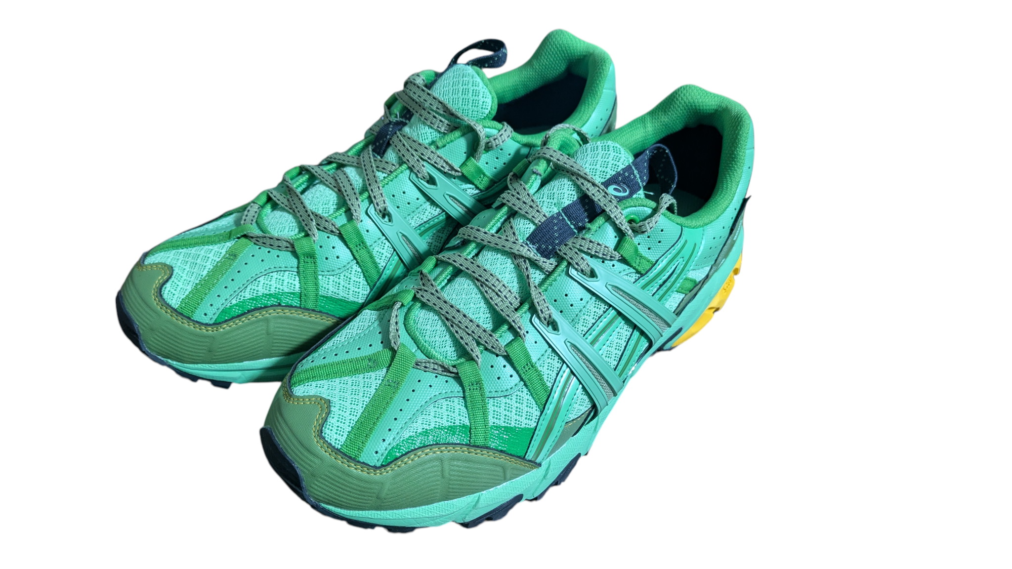 Asics HS4-S Gel-Sonoma 15-50 GORE-TEX "Spring Bouquet/Blue Graphite"