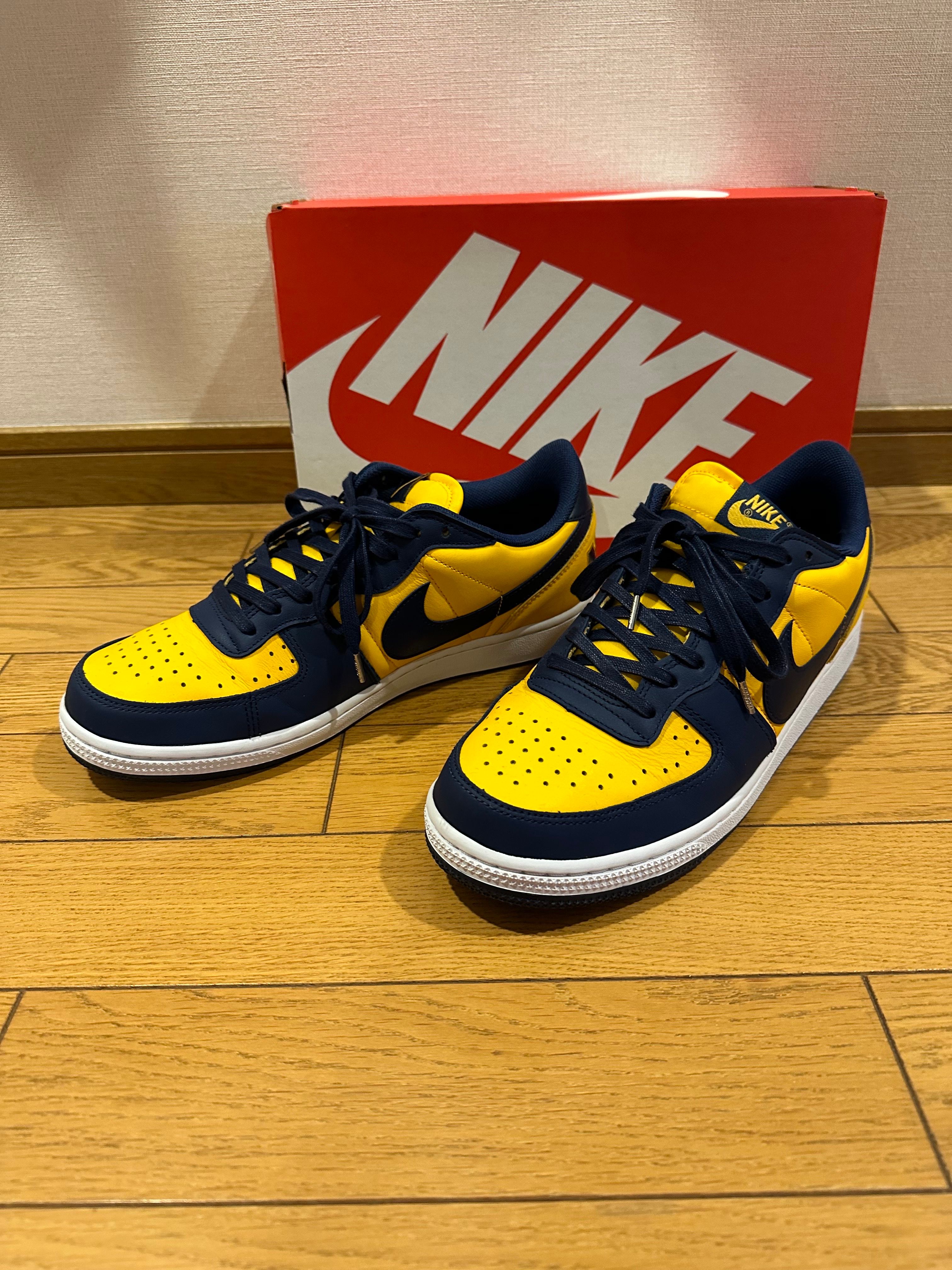 Nike Terminator Low "University Gold and Navy/Michigan"