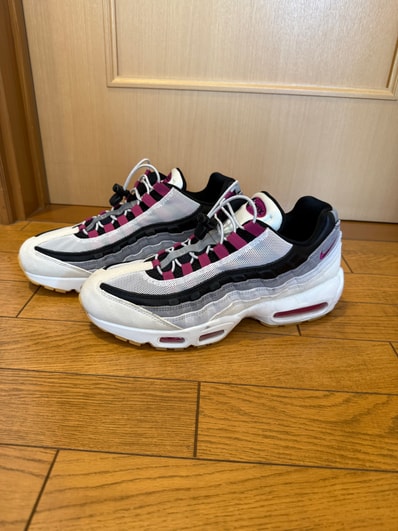 Nike SB Air Max 95 "Summit White/Cactus Flower"