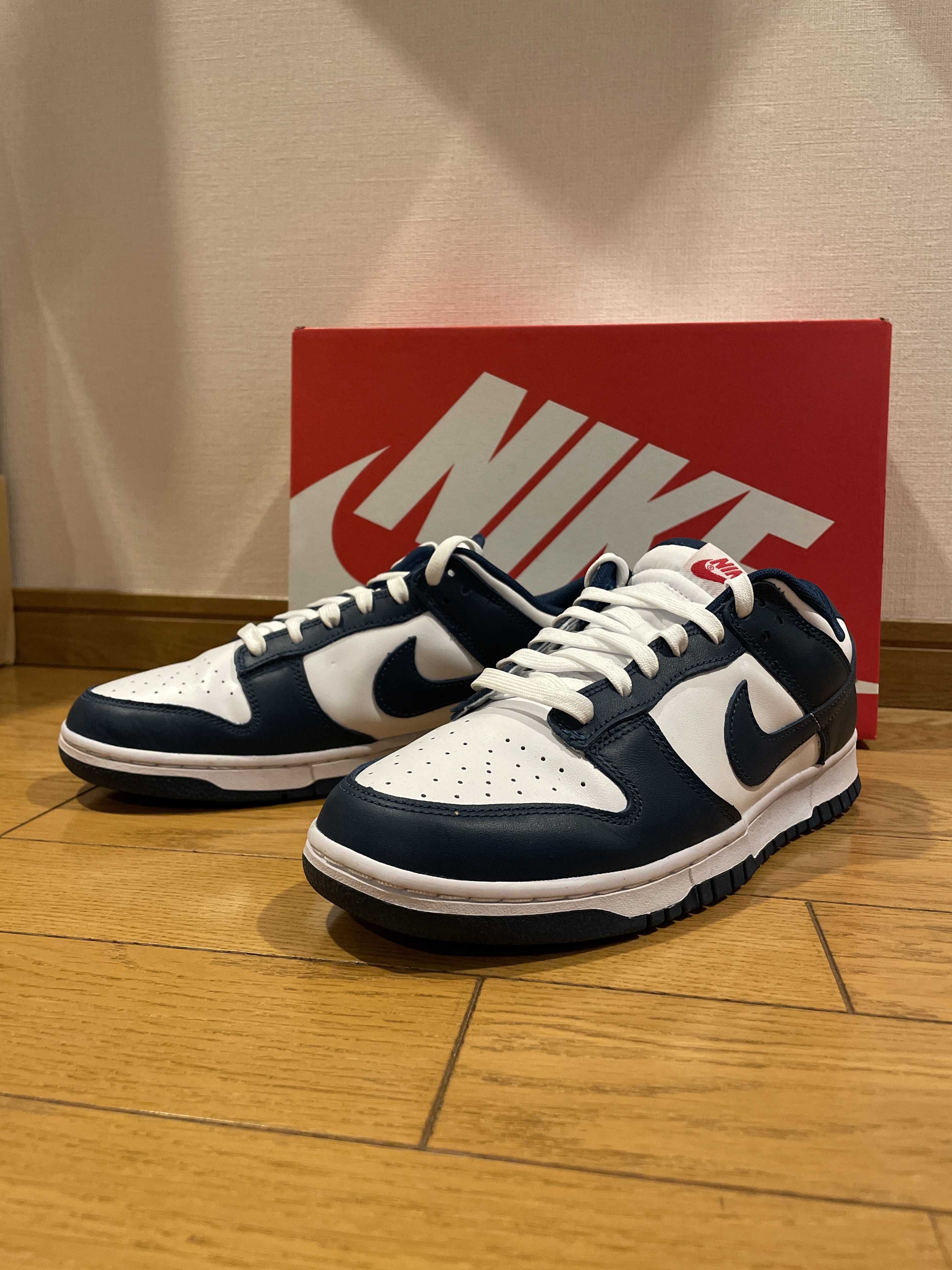 Nike Dunk Low "Valerian Blue"