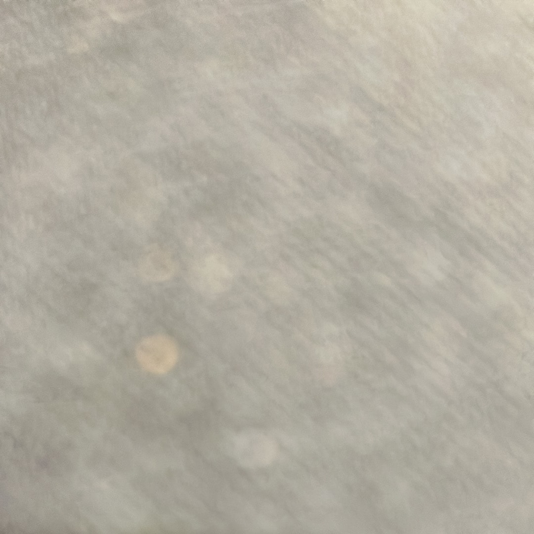 メゾンミハラヤスヒロ ピーターソン23 OG スタッズ キャンバス ロートップ スニーカー "ブラック/ブラック" (A15FW721)